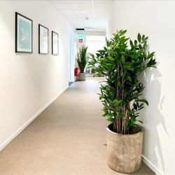 Serviced offices to hire in Stockholm