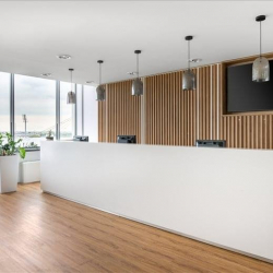 Executive suite to rent in Warsaw