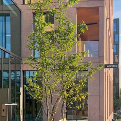 Serviced offices to rent in 