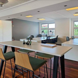 Executive suites to hire in Copenhagen