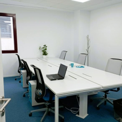Executive suite to lease in Madrid