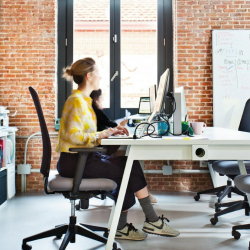 Office suite - Madrid