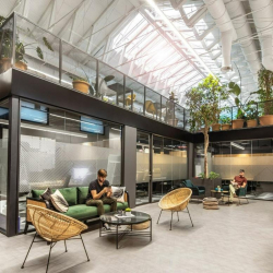 Executive offices to lease in Madrid