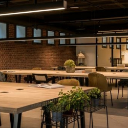 Office suites in central Marbella