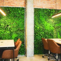 Serviced office centre - Málaga