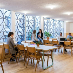 Executive suites to lease in Madrid
