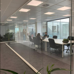 Executive suites to let in Madrid