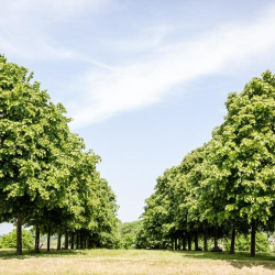 Serviced office - Fareham