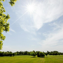 Serviced offices to rent in 