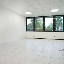 Executive offices to rent in Offenbach am Main