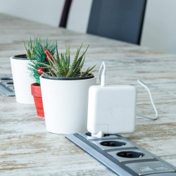 Interior of Carrer de s'Illa Plana 5, Balearic Islands