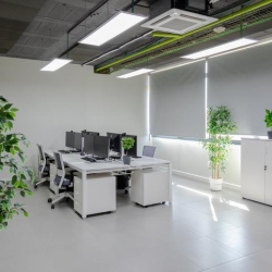 Palma (Palma de Mallorca) executive suite