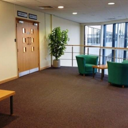 Executive suite - Shirley