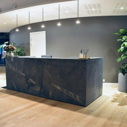 Copenhagen executive office