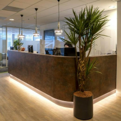 Amsterdam executive office