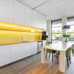 Executive office to let in Amersfoort