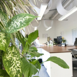 Serviced offices to rent in 