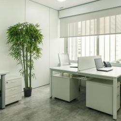 Small white office suite with a desk, laptop, and a tall artificial bamboo plant.