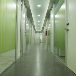Minimalist office corridor with green striped walls and several white office doors.