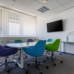 Executive suite in Neu-Isenburg