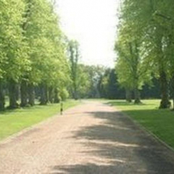 Exterior view of Forest Road