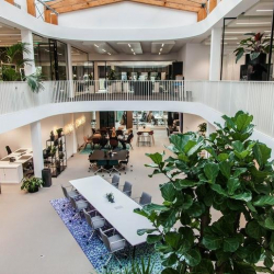 Office suites to let in Amsterdam