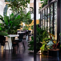 Serviced office in Amsterdam