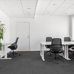 Copenhagen office suite