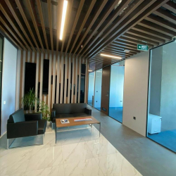 Serviced offices to rent in Istanbul