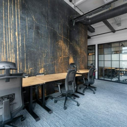 Office suites in central Lodz