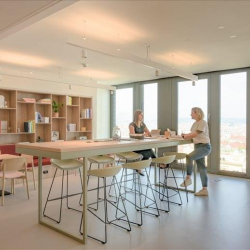 Executive offices to hire in Vienna