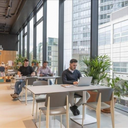 Executive suites to lease in Frankfurt