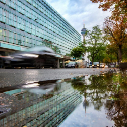 Exterior image of Hammer Straße 19