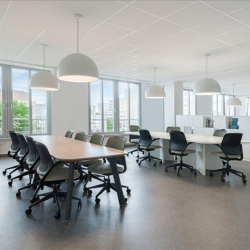 Offices at Hammfelddamm 4a