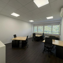 Frankfurt executive office centre