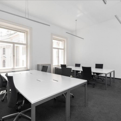 Herrengasse 1-3, 2nd& 3rd floor