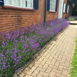 Serviced offices in central Epping