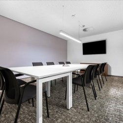 Executive suites to lease in Hamburg