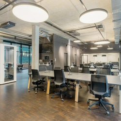 Hussitenstrasse 32 B, Ground Floor executive suites