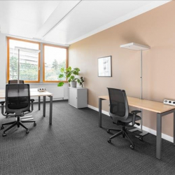 Executive offices to lease in Basel