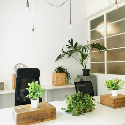 Barcelona office suite