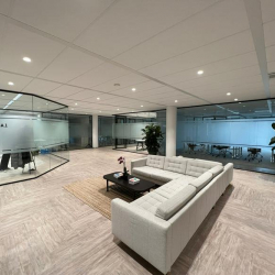 Serviced office in Amsterdam