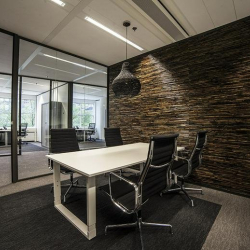 Executive suites to rent in The Hague