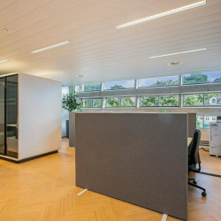 Serviced office in Haarlem