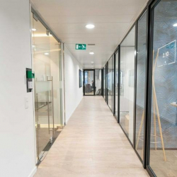 Executive office in Brussels