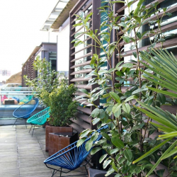 Executive offices to hire in London