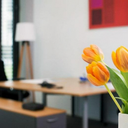 Serviced offices in central Berlin