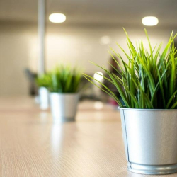 Offices at Letraset Building, Wotton Road