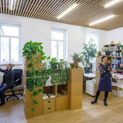 Ottensheim executive office