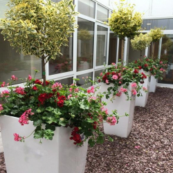 Serviced office to rent in Cork
